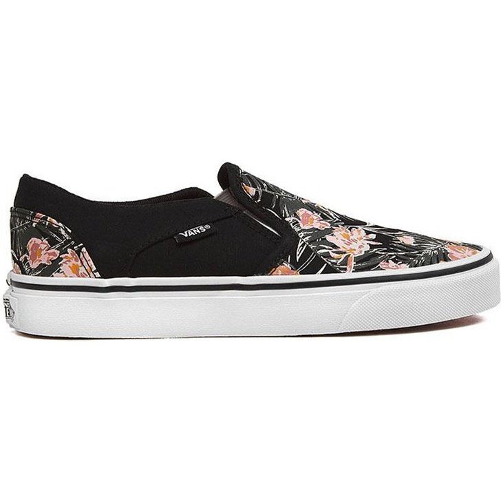 Vans Asher