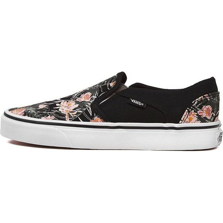 Vans Asher